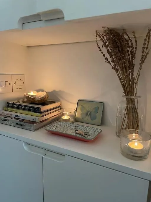 Shoreditch Cosy Flat, Next To Van Gogh Exhibition Apartment London