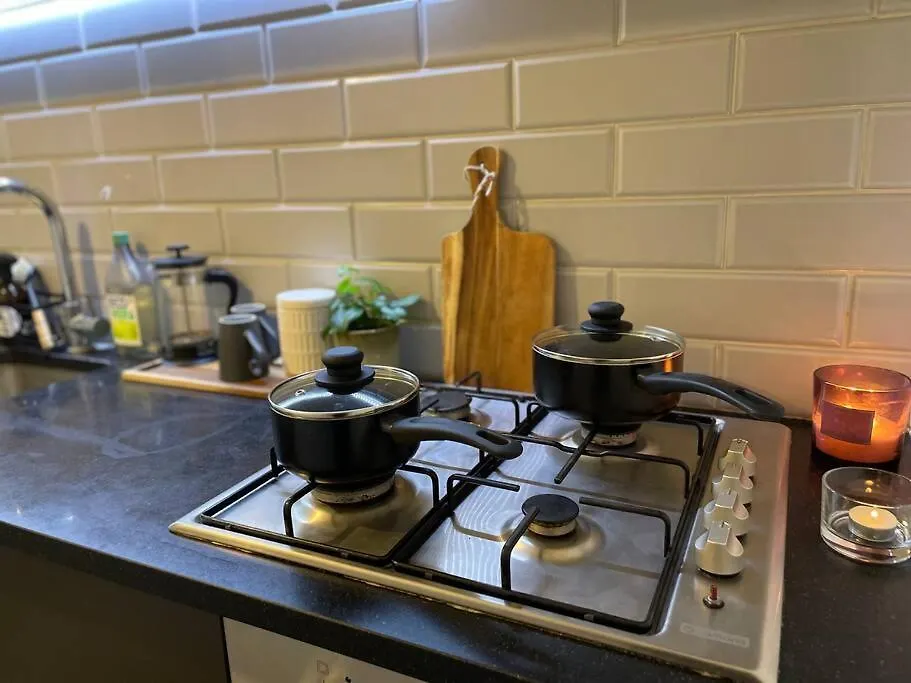 Shoreditch Cosy Flat, Next To Van Gogh Exhibition Apartment London 0*,  United Kingdom