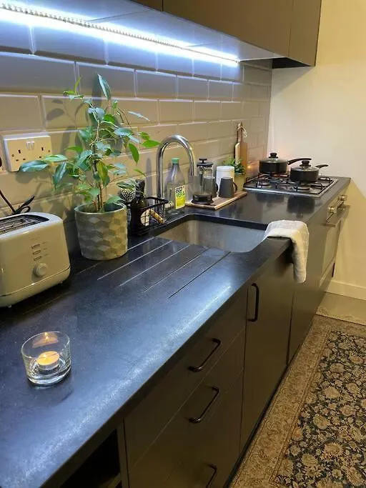 Shoreditch Cosy Flat, Next To Van Gogh Exhibition Apartment London 0*,  United Kingdom